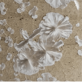 F661 Calcite 1180-1280°C