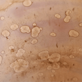 F663 Rose Quartz 1180-1280°C